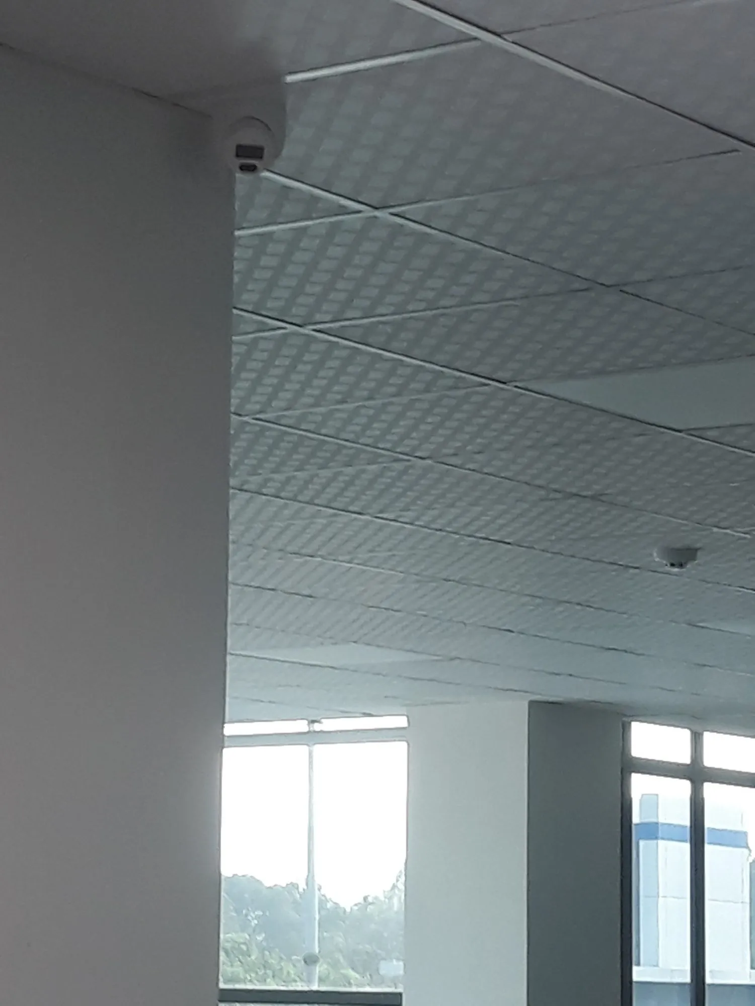 DỰ ÁN ĐIỆN NHẸ/CTY TNHH CÔNG NGHỆ TWINSEL (TRUNG QUỐC)-NHÀ SẢN XUẤT ĐÈN CHIẾU SÁNG - ảnh 6