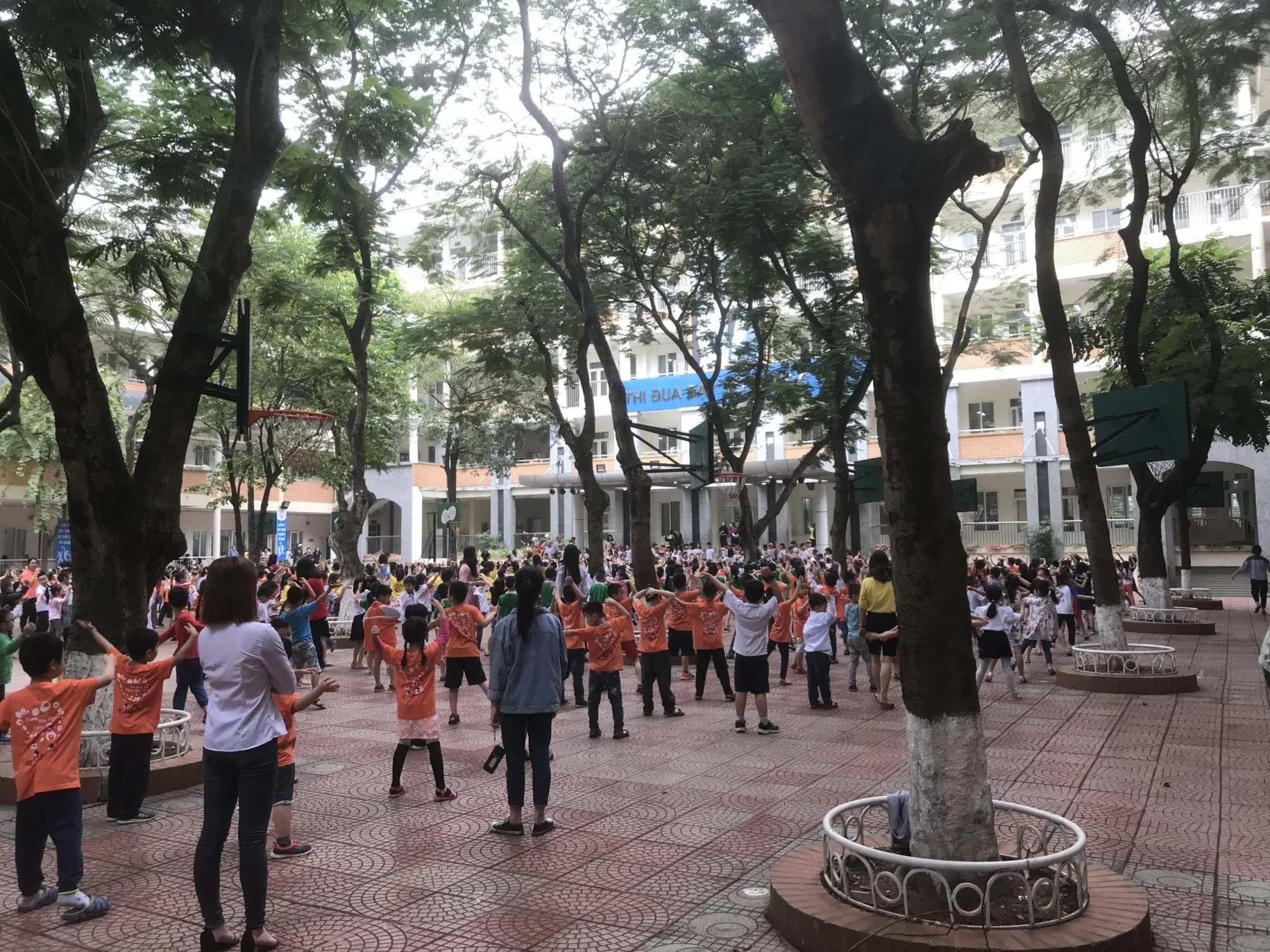 Trường tiểu học Nghĩa Tân, Hà Nội